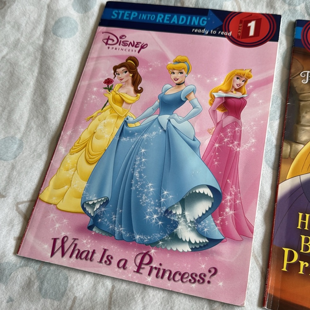 Step Into Reading Disney Princess Level 1 Pre-K / K Book Bundle - Picture 6 of 16